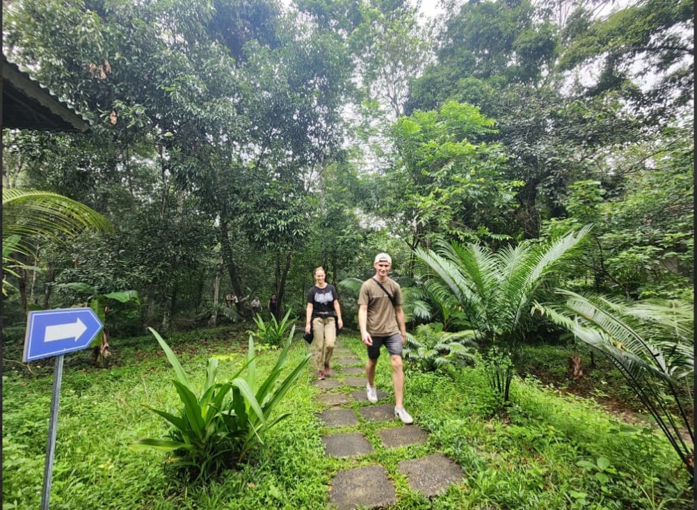 Jardin Botanico