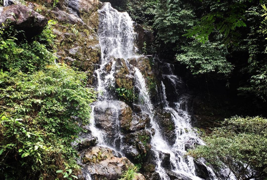 Jardin Botanico