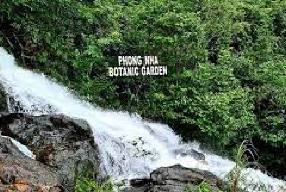 Jardin Botanico
