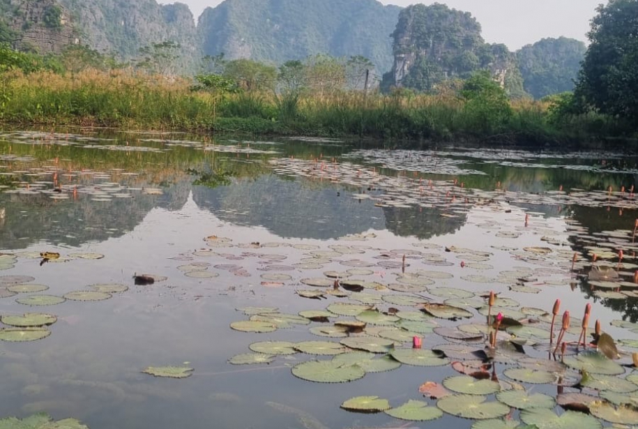 Excursión a Tam Coc y cueva Mua desde Ha Noi con Amigos Tours