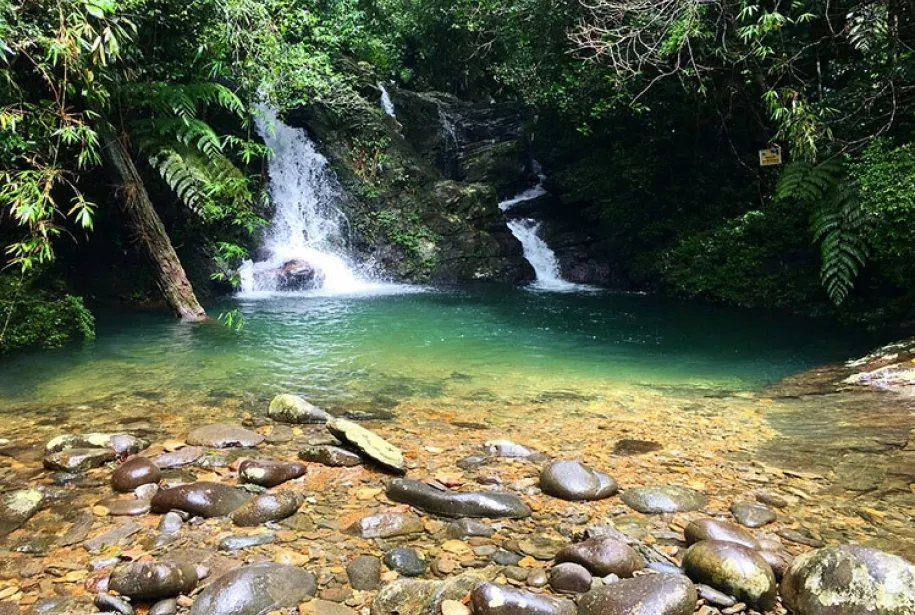  le parc national Bach Ma